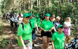 Na zdjęciu grupa os&oacute;b wędrująca przez las